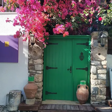 别墅 Black Box Village With Garden 塞费里希萨尔