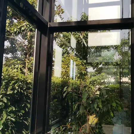 别墅 Black Box Village With Garden