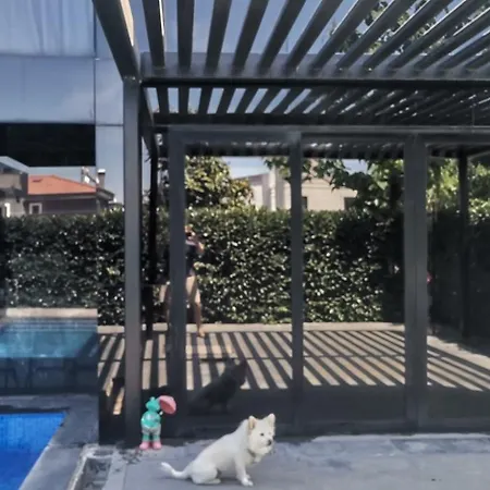 Black Box Village With Garden 塞费里希萨尔