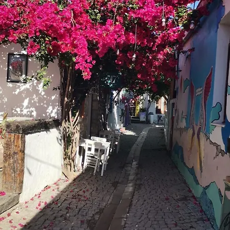 Black Box Village With Garden Вилла *