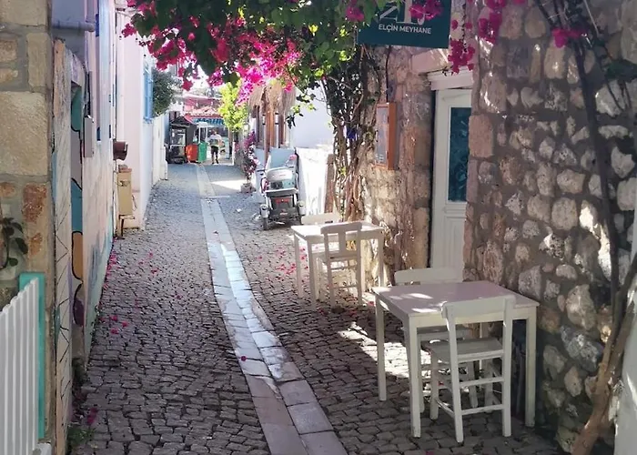 Black Box Village With Garden Villa